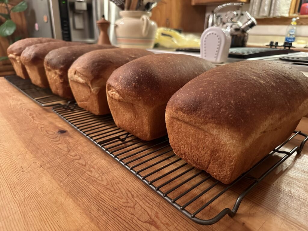 6 loaf line-up