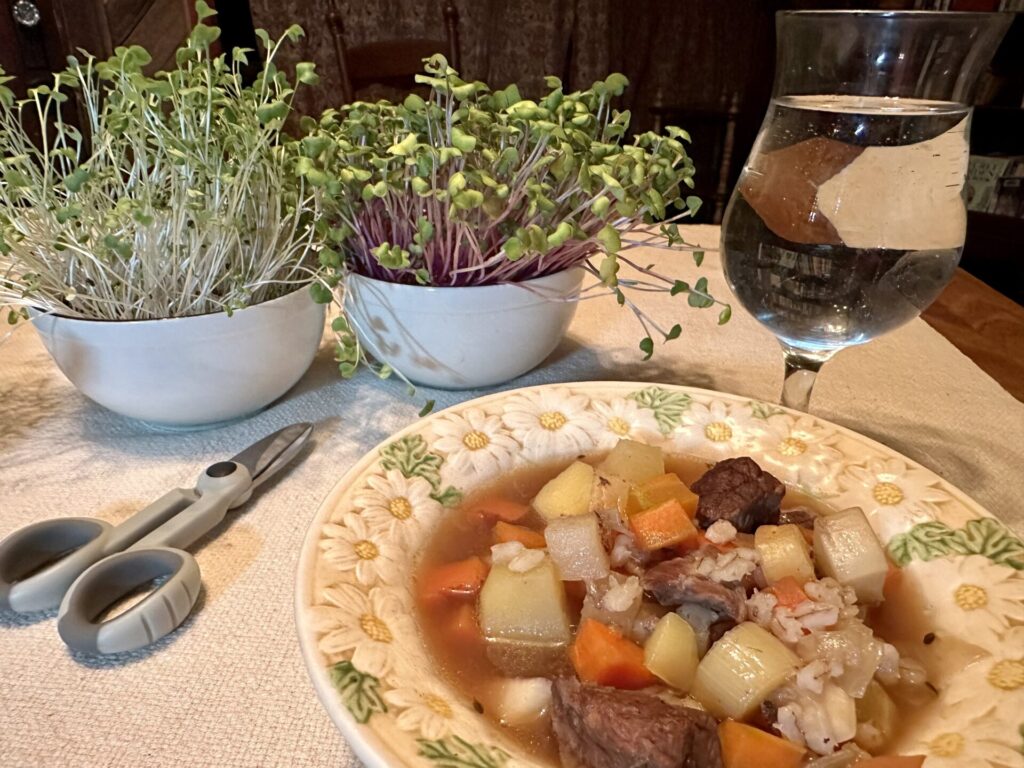 homegrown salad shoots + beef and barley soup